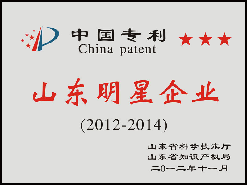 2012年   中国专利山东明星企业